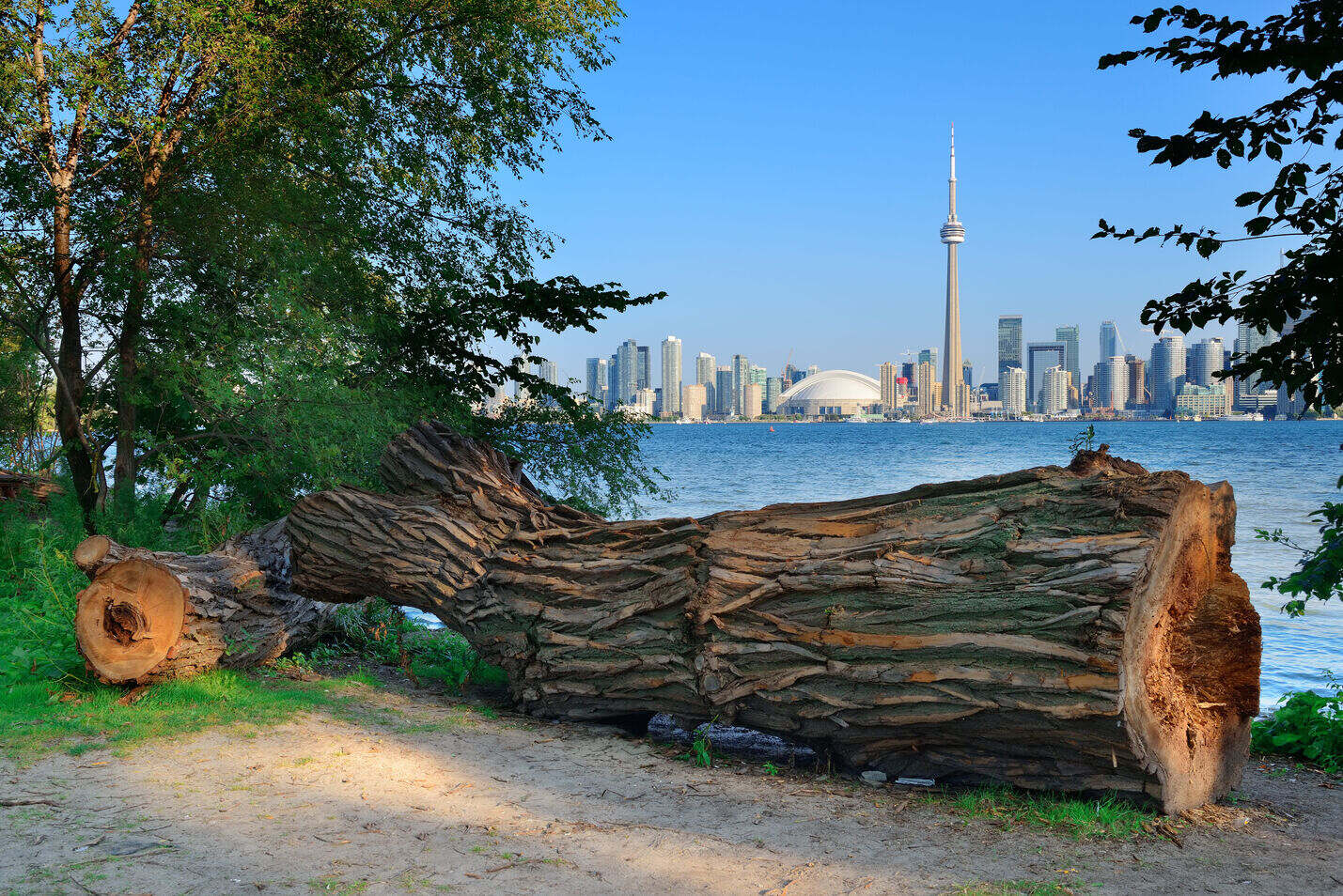 Toronto Islands: The Complete Guide to Ferries, Beaches & That Skyline View 4 Biking and paths on Toronto Islands